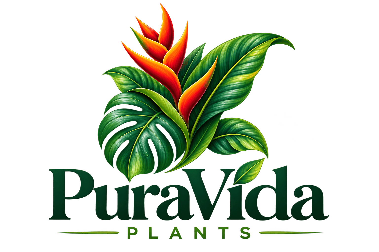 logo pura vida plants
